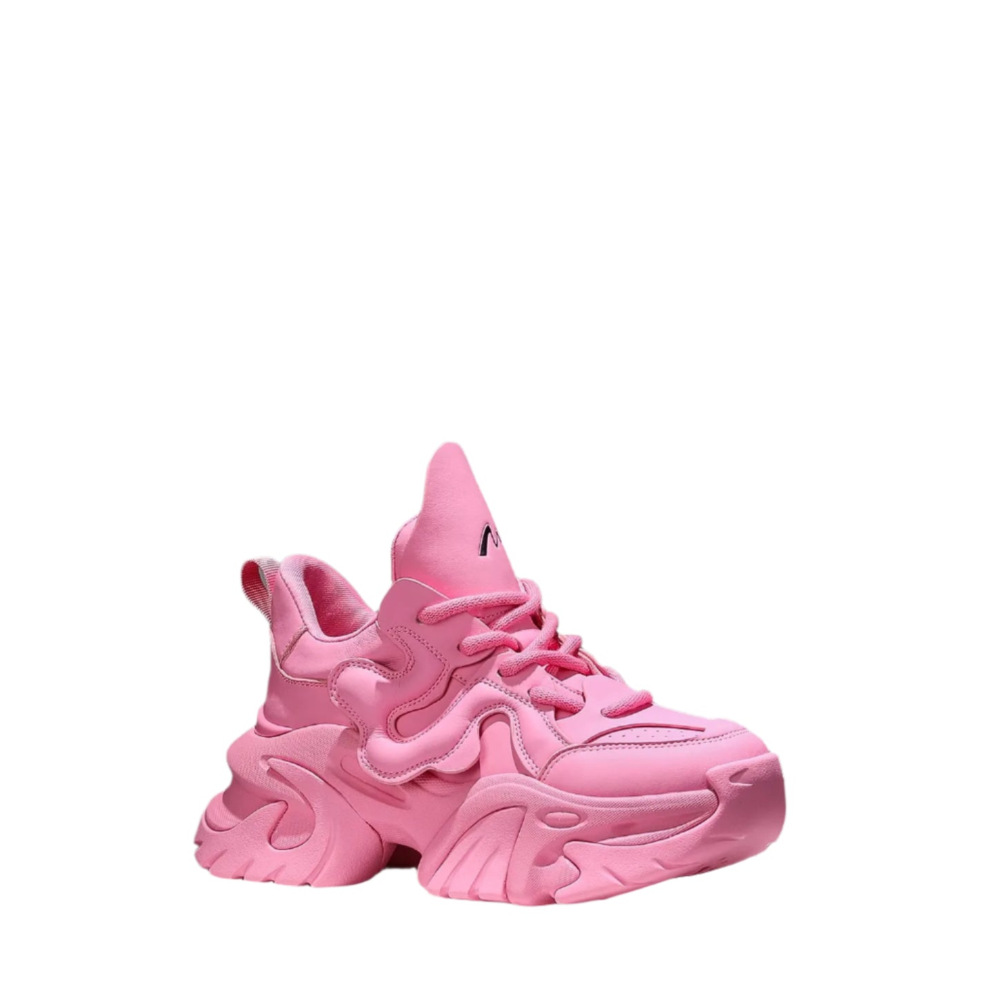 Trendy High Rise Thick Bottom Casual Shoes for Women